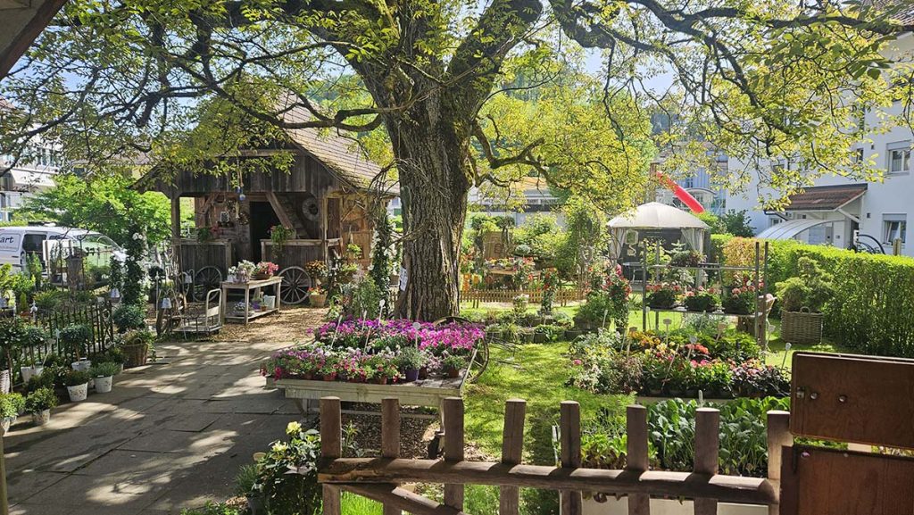 Sommer im Blumengarten